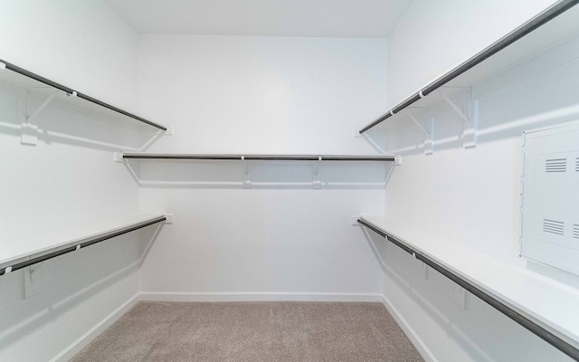 spacious closet featuring carpet