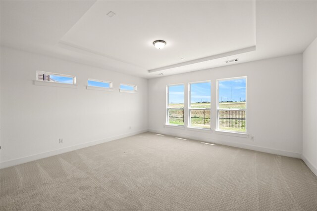 unfurnished room featuring a raised ceiling and carpet flooring