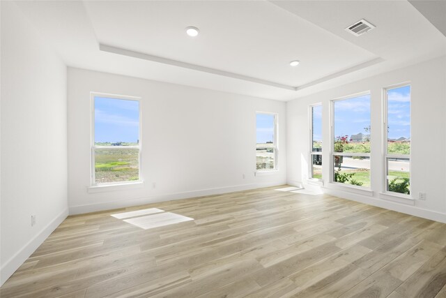 empty room featuring light wood-type flooring, a tray ceiling, and a healthy amount of sunlight