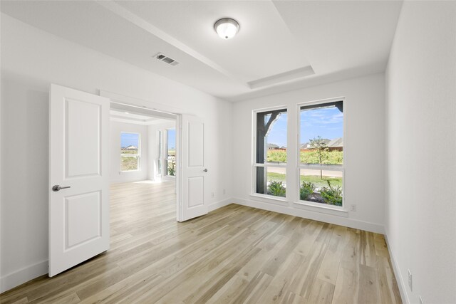 spare room featuring light hardwood / wood-style flooring and a wealth of natural light