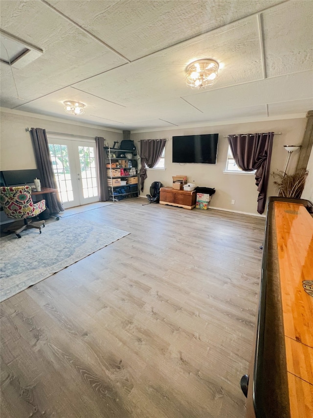 living room with hardwood / wood-style flooring and french doors