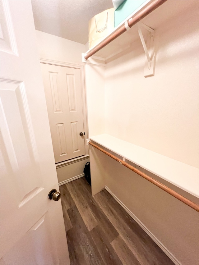 spacious closet featuring dark hardwood / wood-style flooring