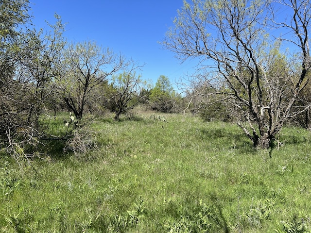 Listing photo 2 for TBD County Road 434, Cross Plains TX 76443