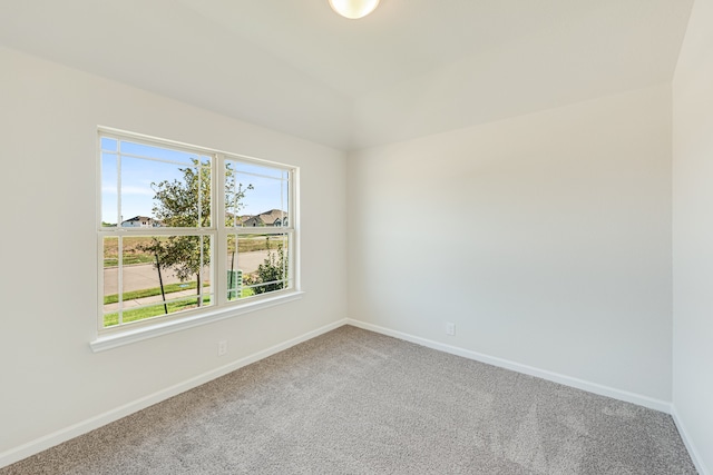 empty room featuring carpet