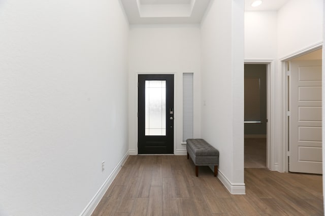 entrance foyer featuring a towering ceiling and wood-type flooring