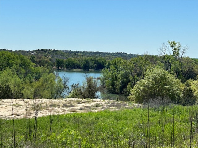 1153 Eagles Bluff Dr, Weatherford TX, 76087 land for sale