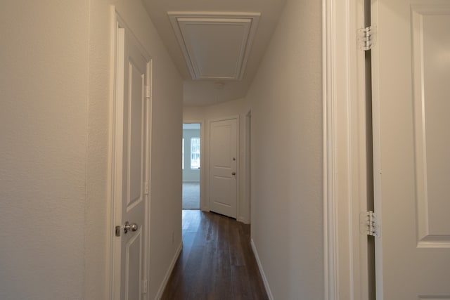 hallway with dark hardwood / wood-style floors