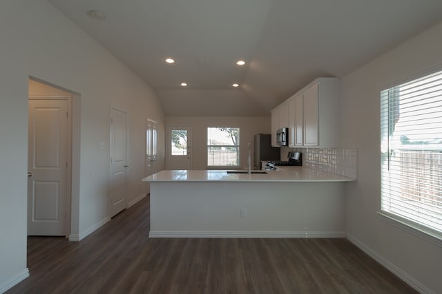 kitchen featuring lofted ceiling, kitchen peninsula, a healthy amount of sunlight, and stainless steel appliances