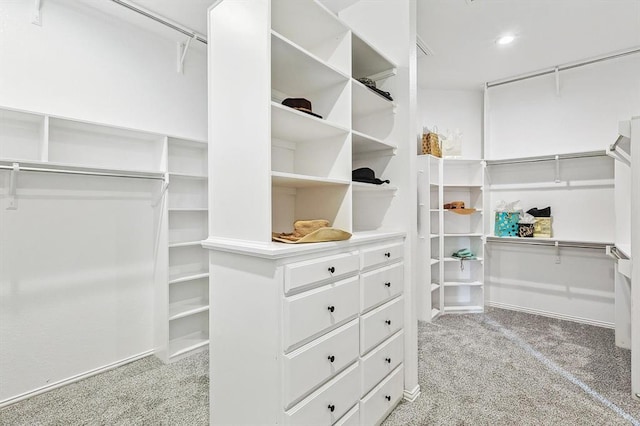 spacious closet with light colored carpet