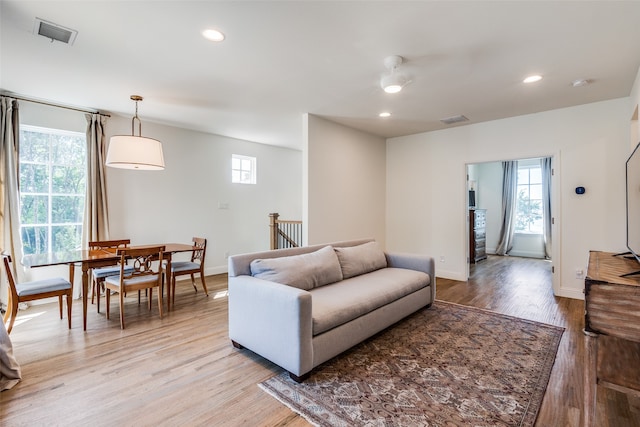 living room featuring a wealth of natural light and wood-type flooring