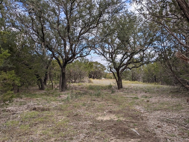 TBD Cr 127, Carlton TX, 76436 land for sale