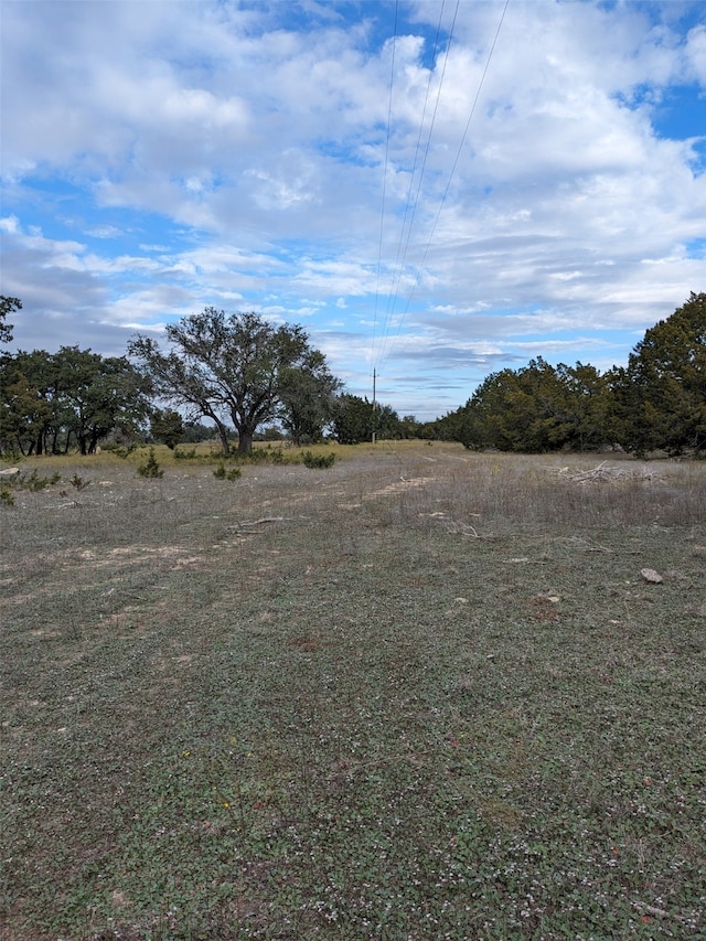 Listing photo 3 for TBD Cr 127, Carlton TX 76436