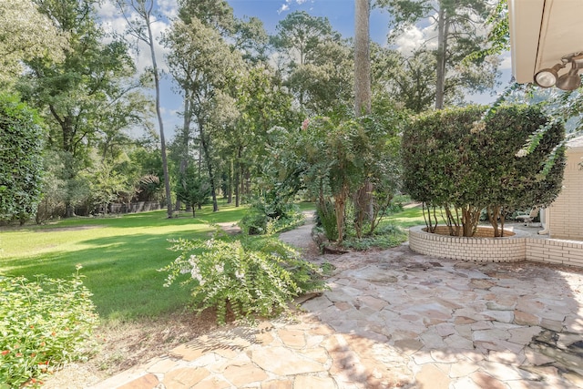 view of yard with a patio area