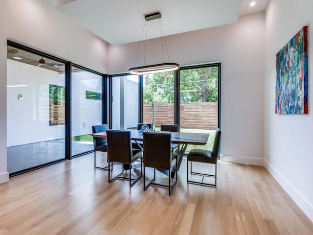 dining space with light wood-type flooring and ceiling fan