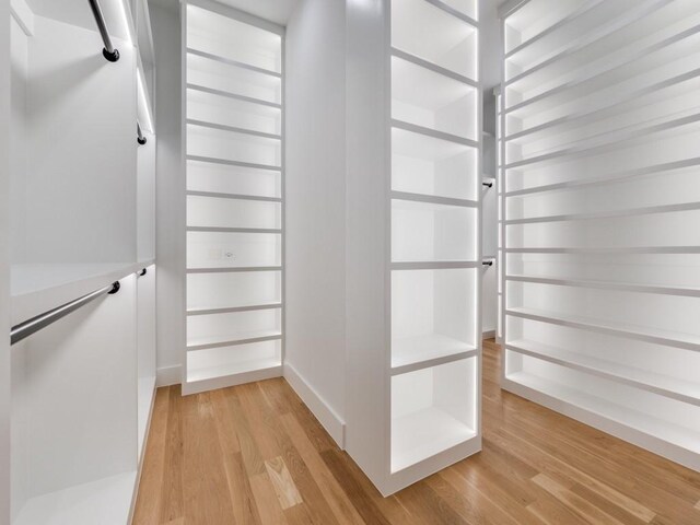 spacious closet with wood-type flooring