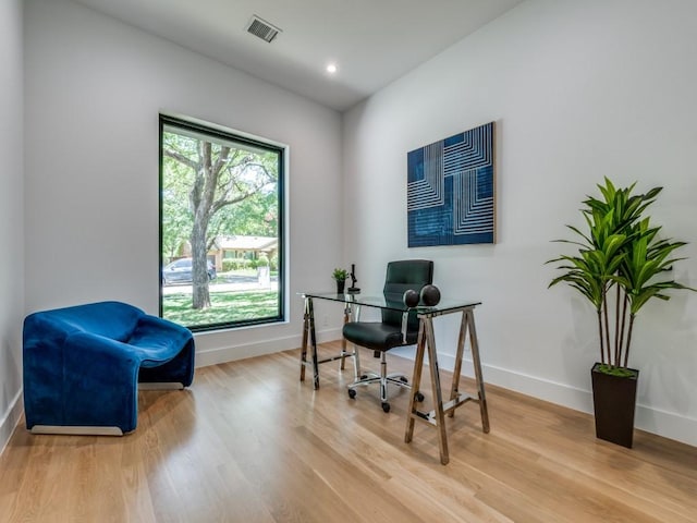 office space featuring wood-type flooring