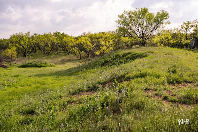 view of nature featuring a rural view