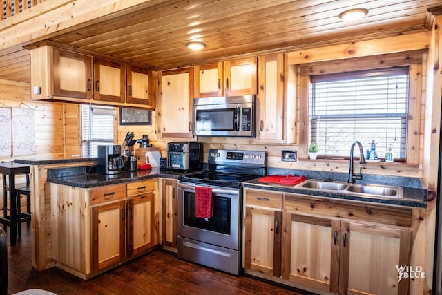 kitchen with plenty of natural light, dark hardwood / wood-style flooring, sink, and appliances with stainless steel finishes