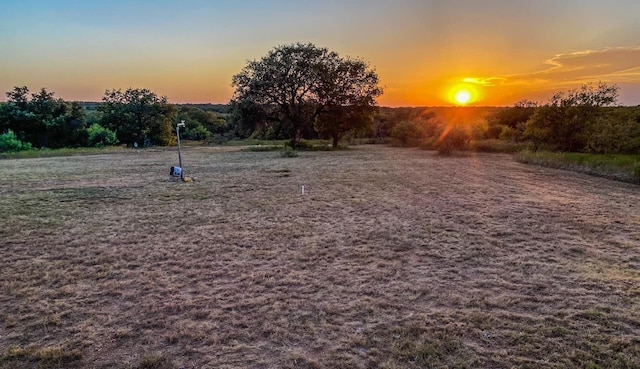 view of yard at dusk