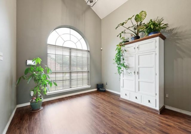 entryway featuring dark hardwood / wood-style flooring and lofted ceiling