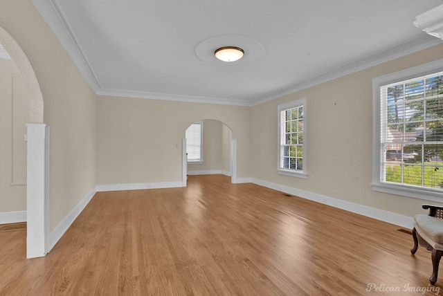 interior space featuring crown molding, light hardwood / wood-style flooring, and a healthy amount of sunlight