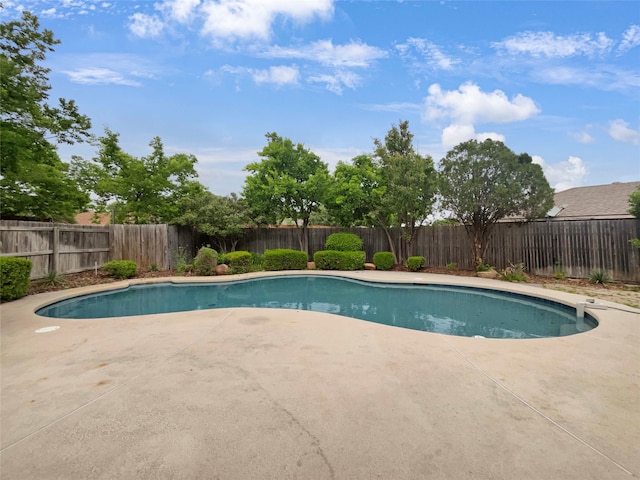 view of swimming pool featuring a patio area