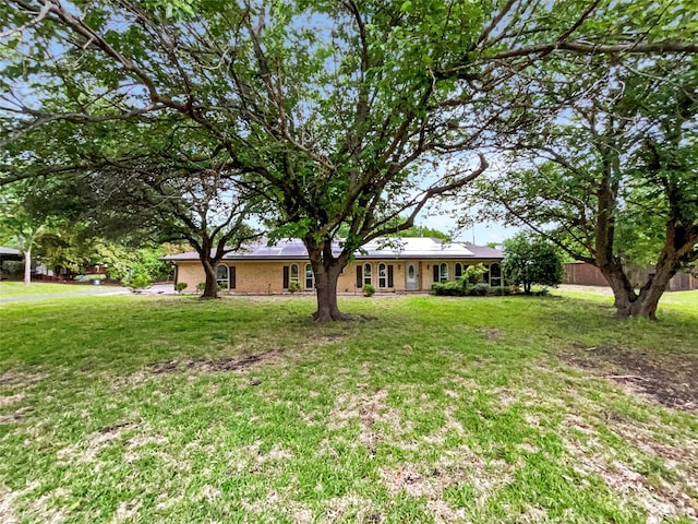 ranch-style house featuring a front yard