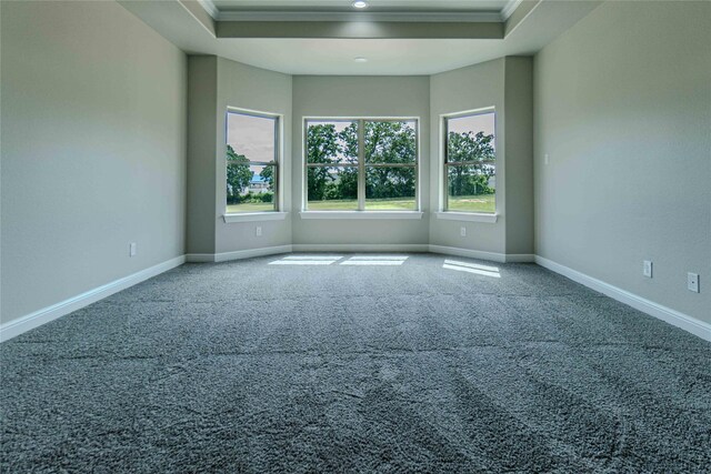 empty room featuring ornamental molding, carpet floors, and a tray ceiling