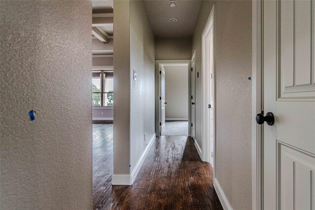 corridor featuring dark hardwood / wood-style floors