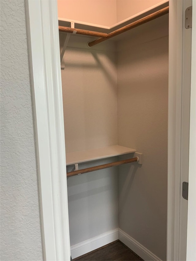 spacious closet featuring dark wood-type flooring