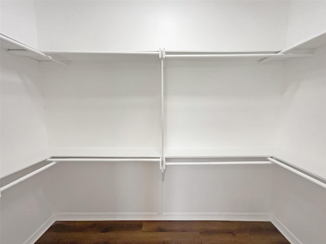 spacious closet with wood-type flooring