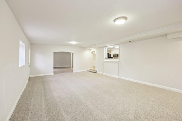 basement featuring carpet floors