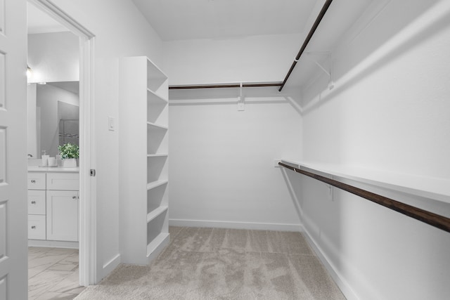 spacious closet featuring light carpet