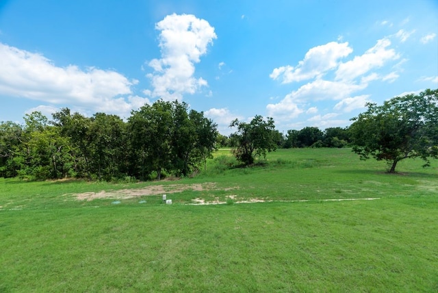 view of yard with a rural view