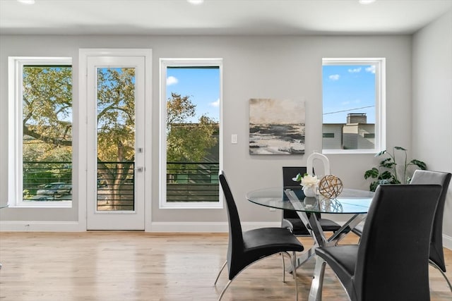 dining area featuring a healthy amount of sunlight and light hardwood / wood-style flooring