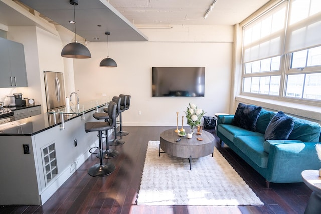 living room featuring sink, rail lighting, and dark hardwood / wood-style floors