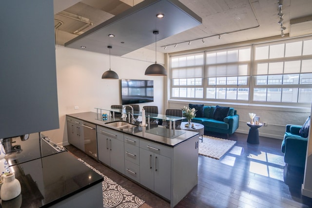 kitchen with dishwasher, pendant lighting, track lighting, and sink