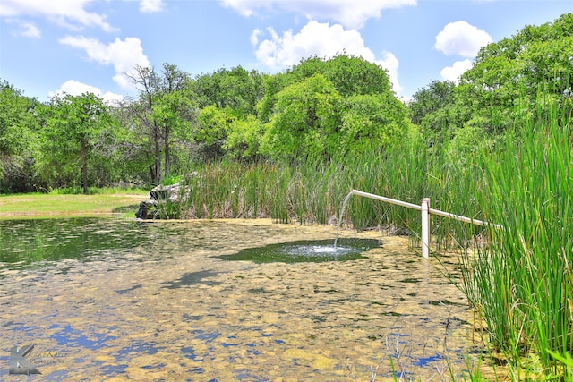 view of property's community with a water view