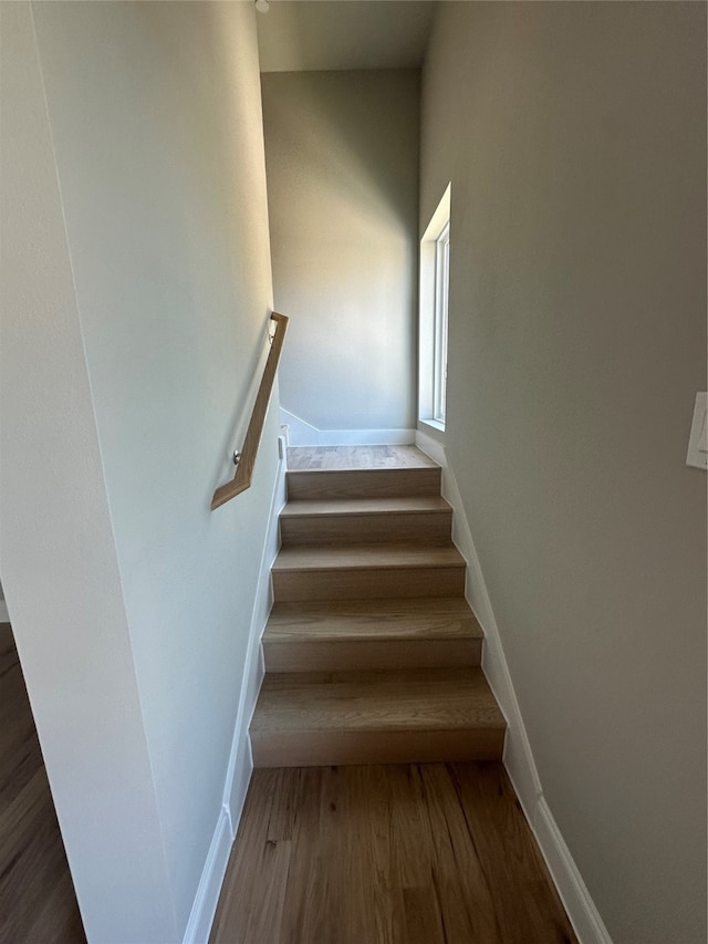 stairway with wood-type flooring