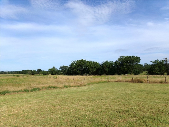 view of yard with a rural view