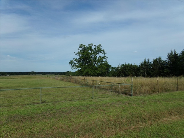 view of yard with a rural view