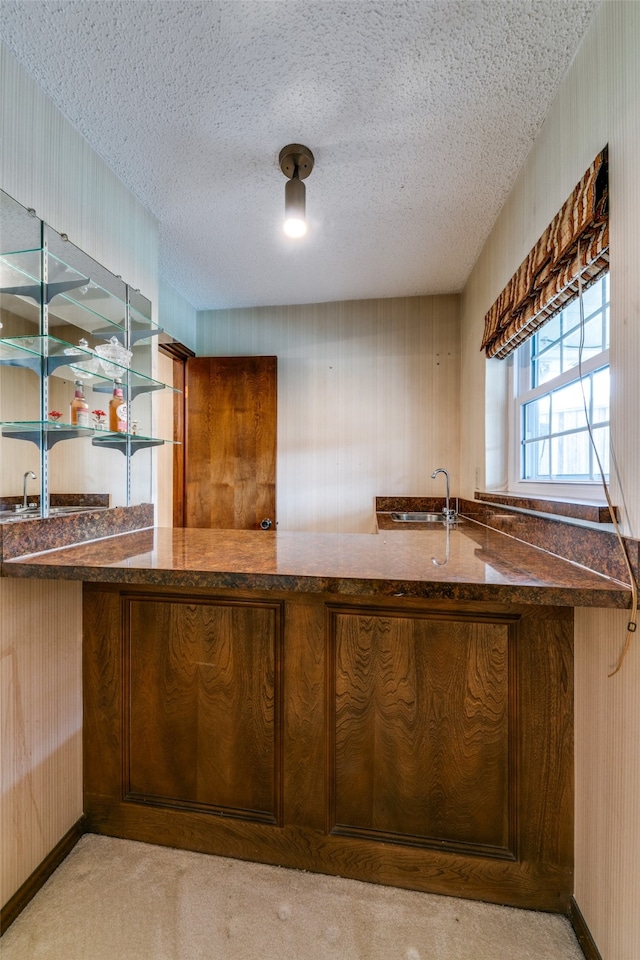 kitchen featuring light carpet, a textured ceiling, and sink