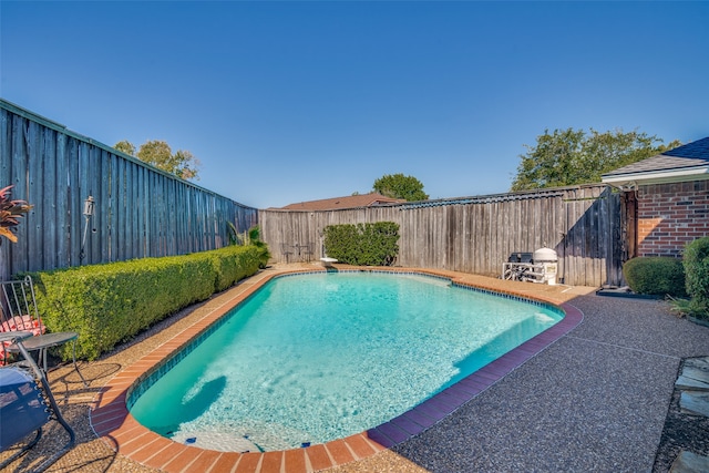 view of swimming pool with a patio area