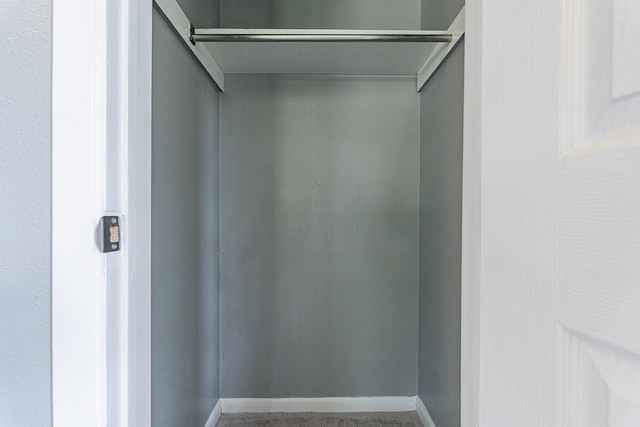 walk in closet with elevator and carpet floors