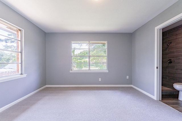 unfurnished room featuring carpet floors