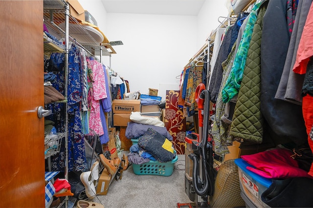 walk in closet with carpet flooring