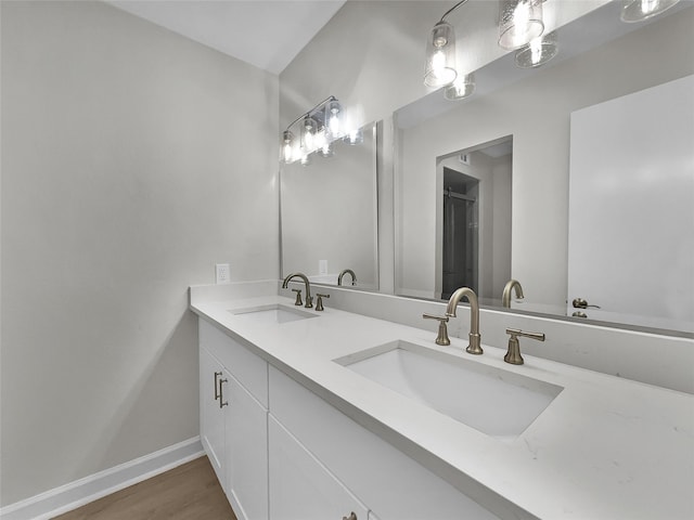 bathroom featuring wood-type flooring and vanity