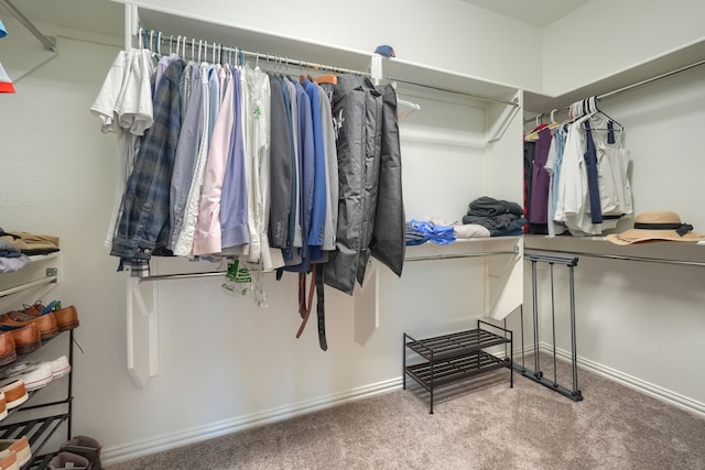 spacious closet featuring carpet