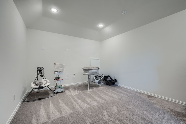 miscellaneous room with carpet flooring