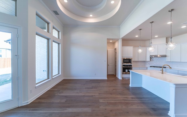 kitchen with decorative light fixtures, dark hardwood / wood-style flooring, a tray ceiling, white cabinets, and appliances with stainless steel finishes